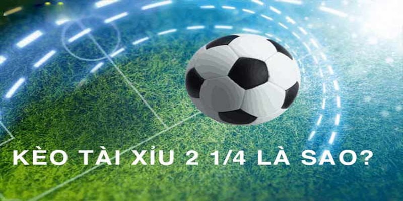 Tài Xỉu 2-2.5 Là Gì Tại Sao Nó Quan Trọng?