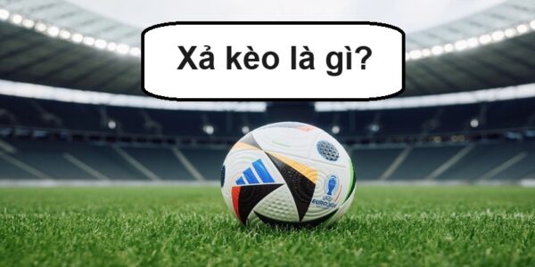 Các tính năng quan trọng xả kèo bóng đá bạn cần chú ý